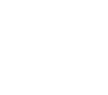 Fact icon