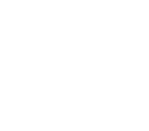 Fact icon