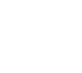 Fact icon