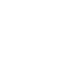 Fact icon